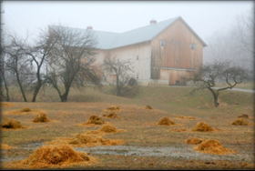 Full Circle Organic Farm barn in the early winter morning mist